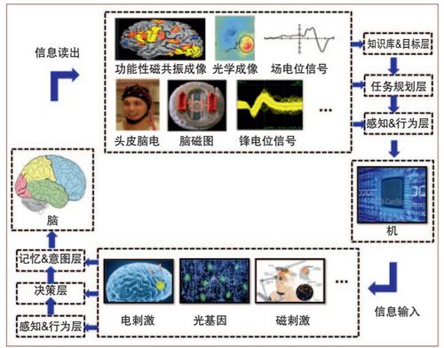 图2　混合智能的信息回路模型